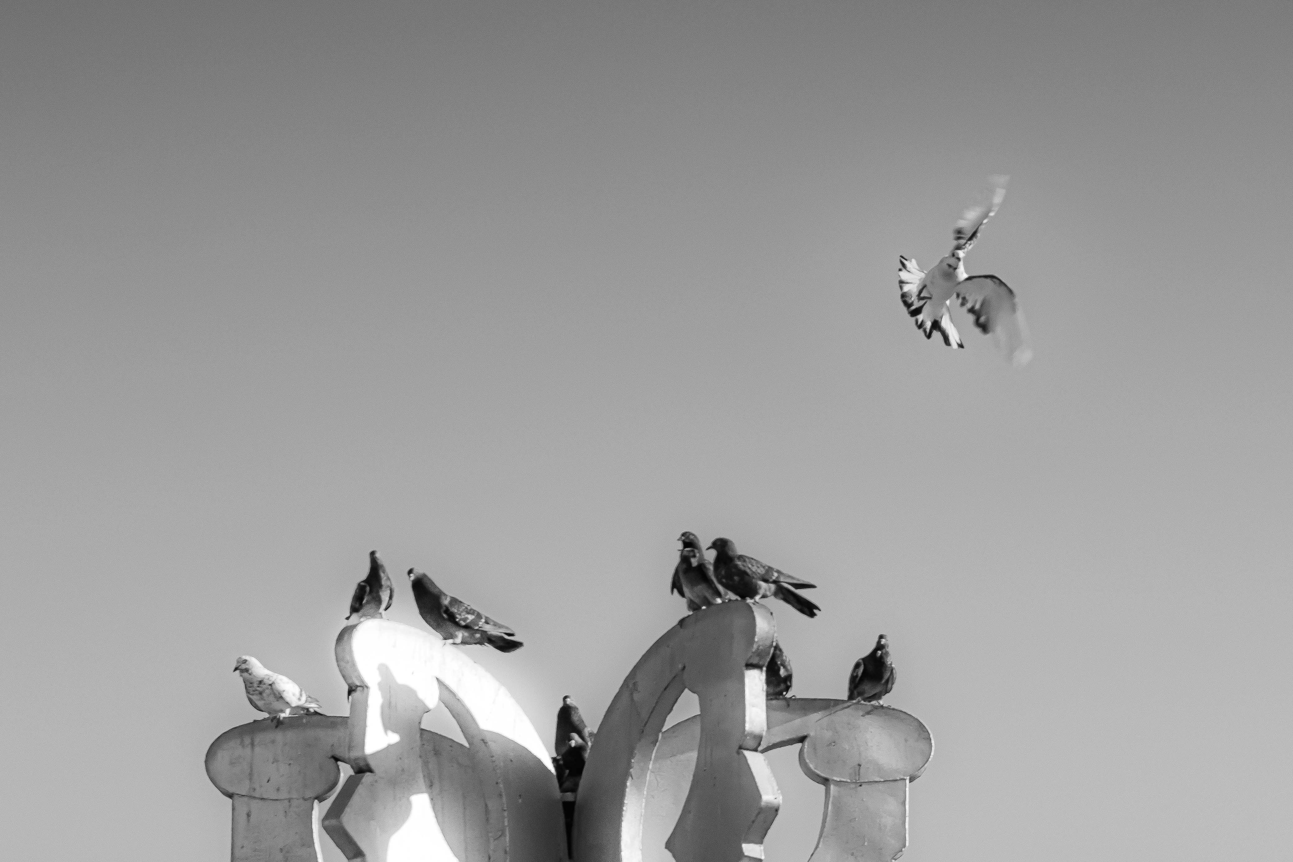 grátis "O Instante Da Partida" Foto profissional