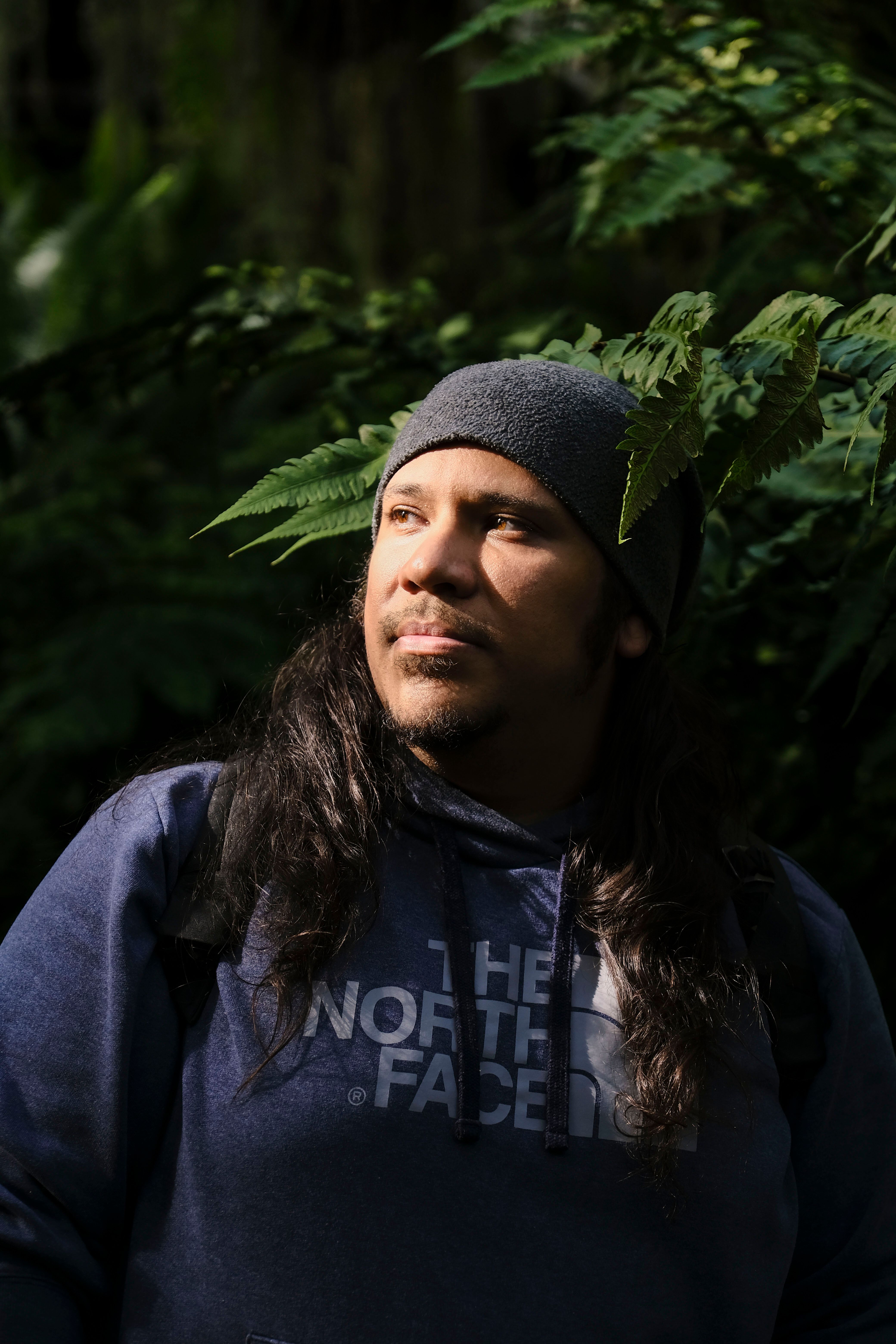 Man in Hoodie Standing in Lush Forest · Free Stock Photo