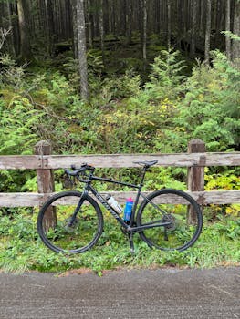 A mountain bike leans against a wooden fence surrounded by lush forest scenery.