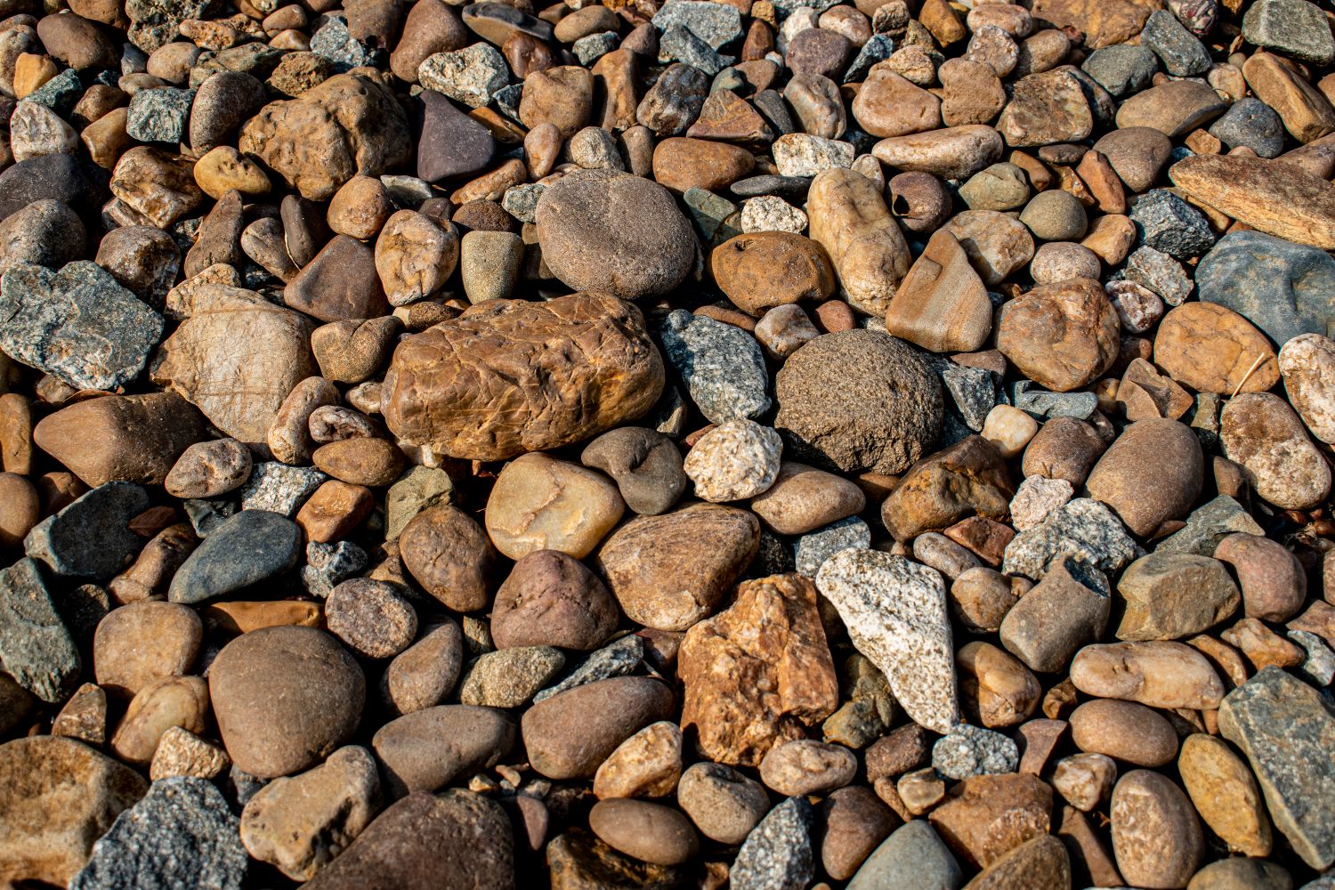 Bed Of Rocks Photos, Download The BEST Free Bed Of Rocks Stock Photos ...