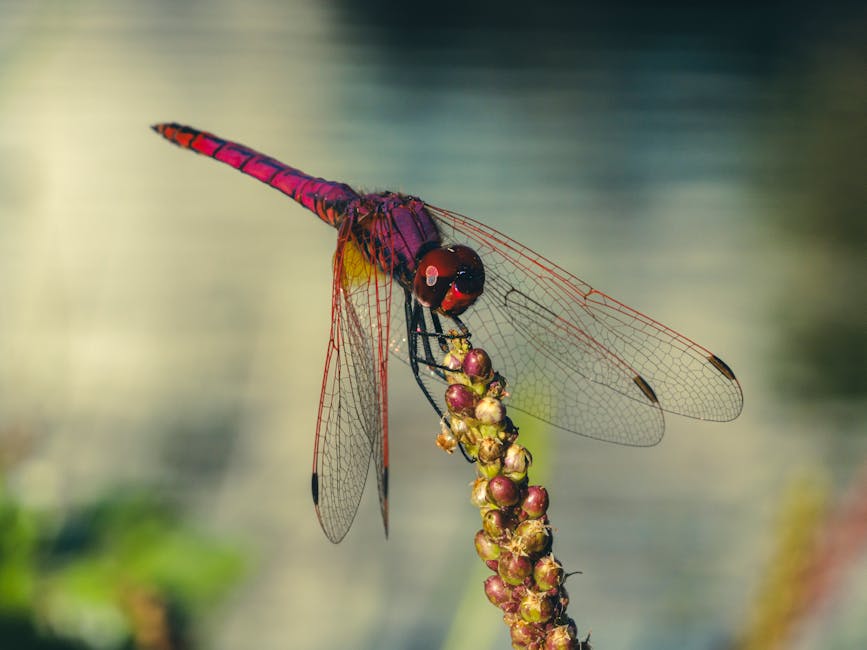 Uncovering the hidden flavors of insect cuisine