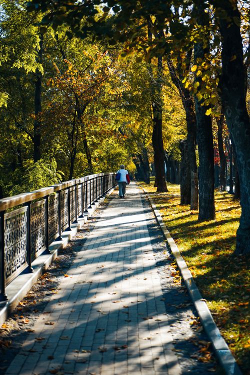 Free Serene autumn pathway in a park with vivid foliage and a lone person strolling. Stock Photo