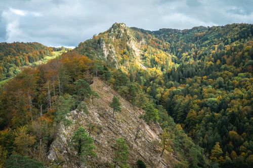 Free Explore a stunning mountain landscape adorned with vibrant autumn foliage. Stock Photo