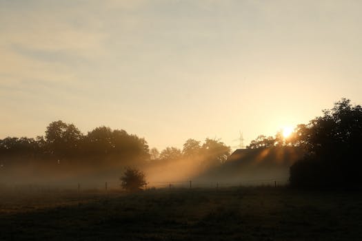 A peaceful rural scene at sunrise with mist and warm golden sunlight filtering through trees.