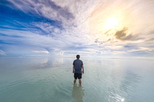 Free Hidden Mist Stock Photo