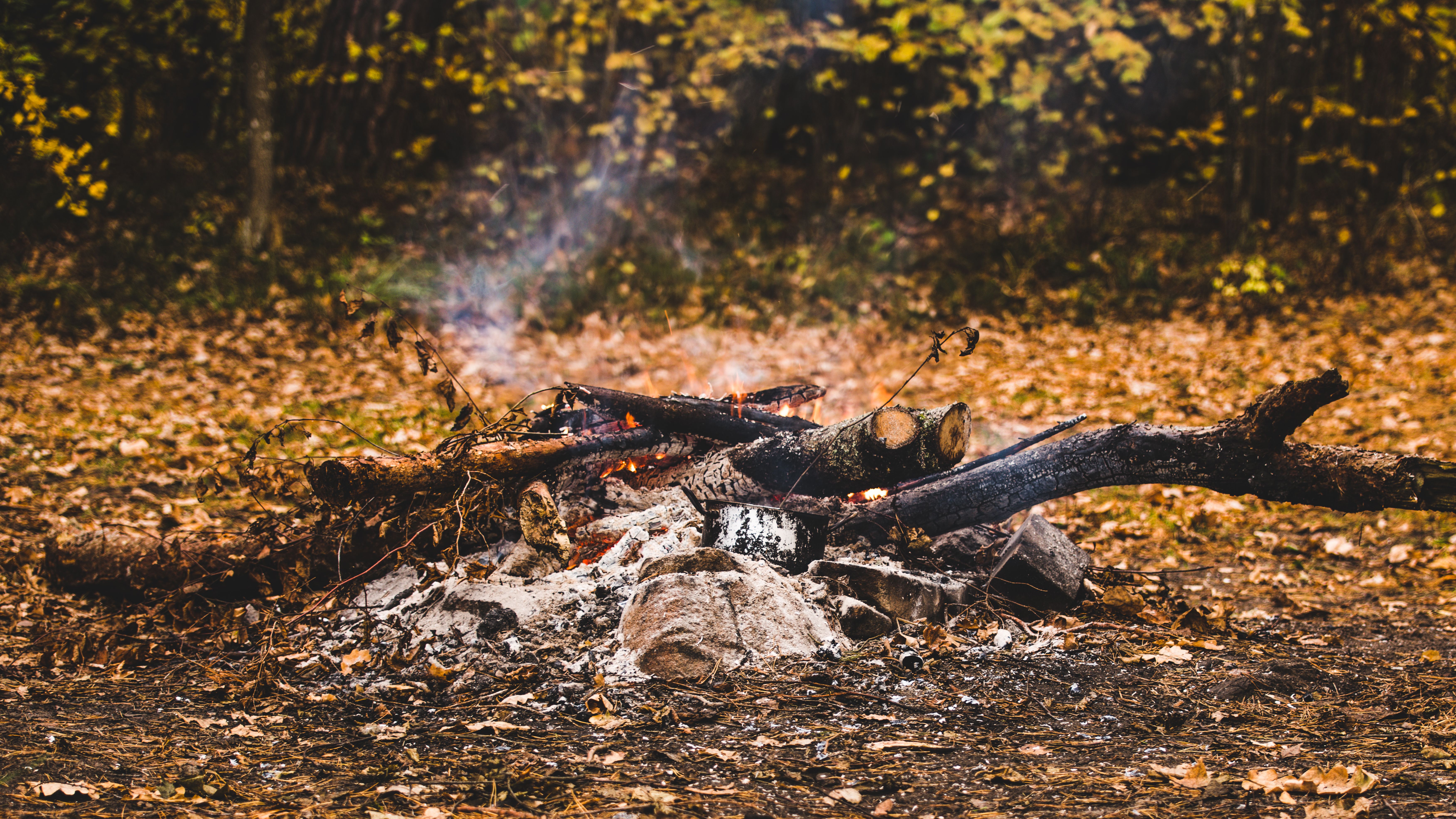 One-pot camp meal cooking over a fire