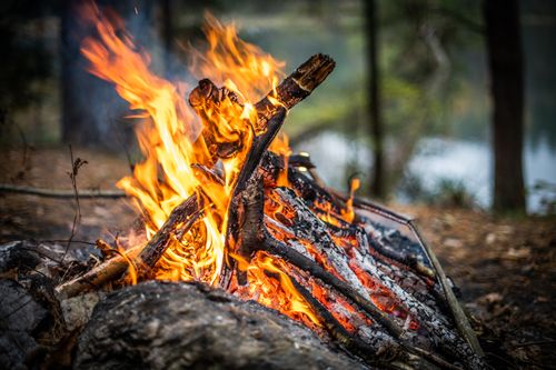 Free A close-up of a burning campfire in an autumn forest near a lakeside in Aukštadvaris, Lithuania. Stock Photo
