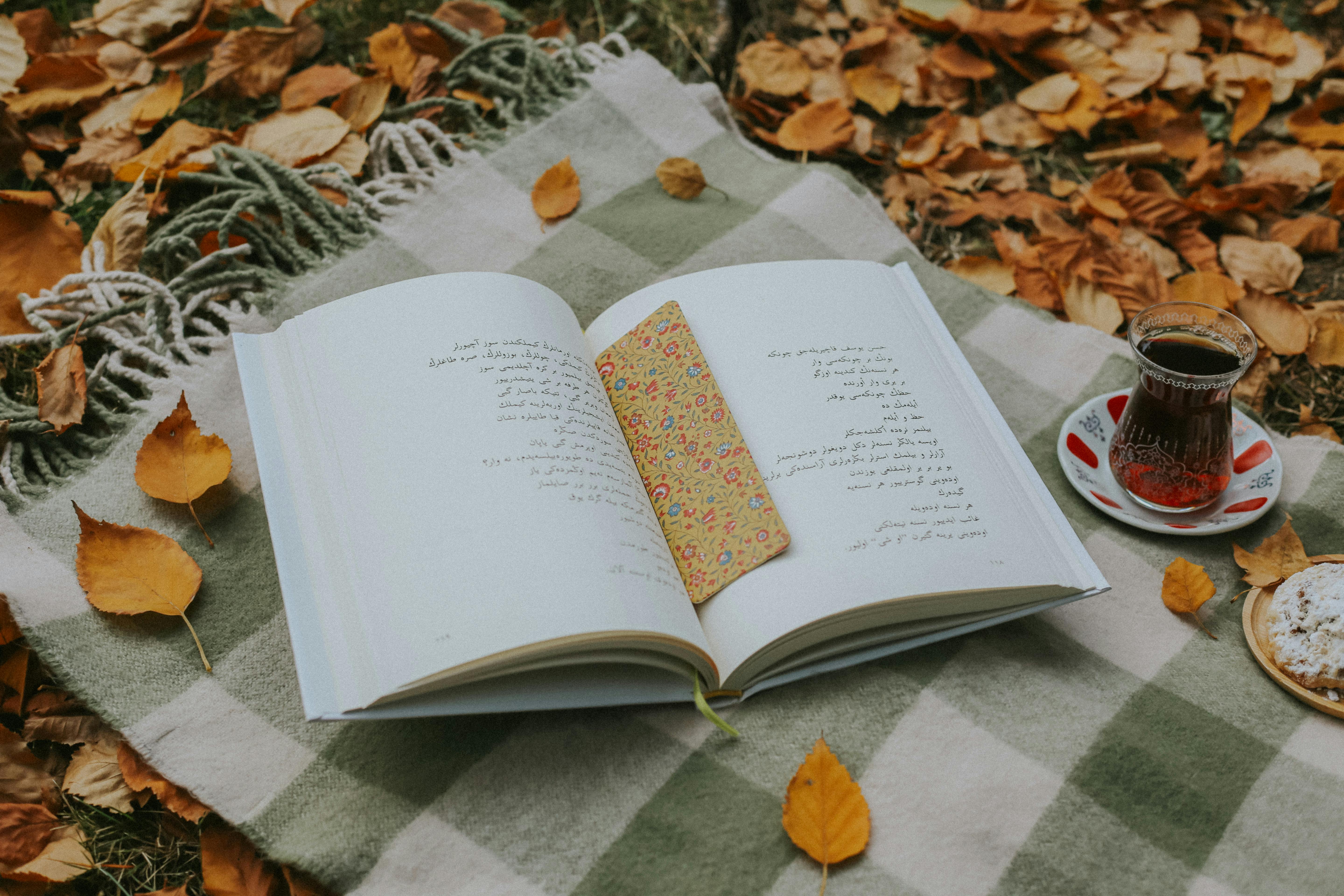 cozy autumn picnic with poetry and tea