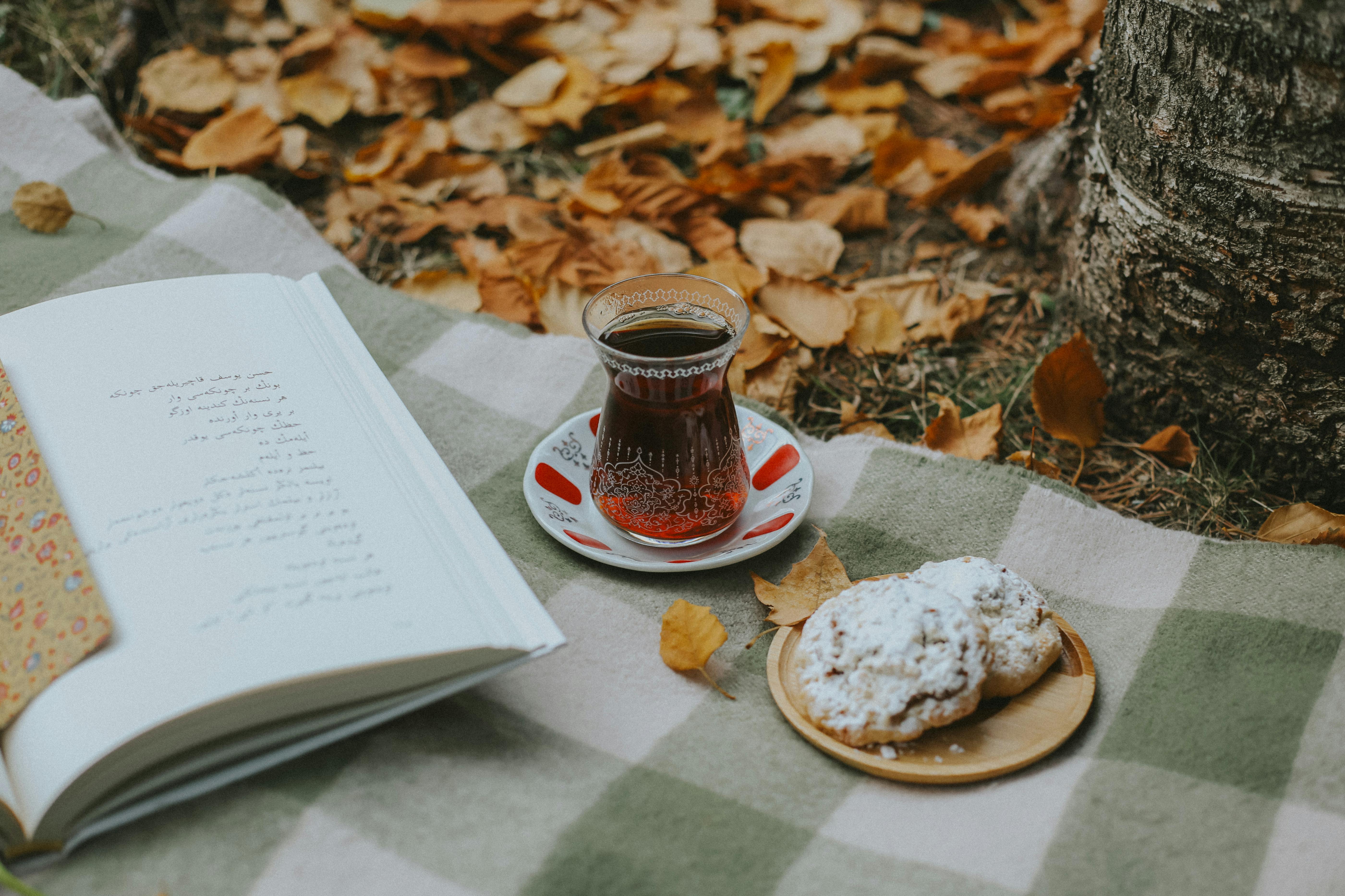 autumn picnic with tea and pastries