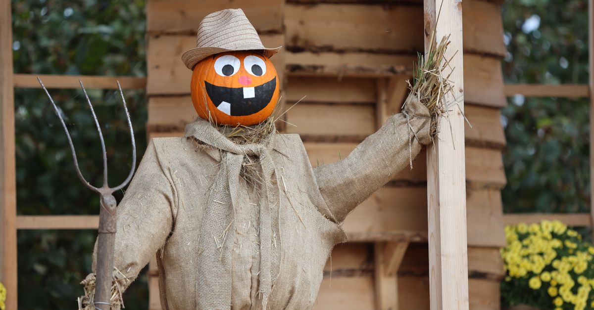 Hometown Harvest Fair Brings Classic Fall Fun to Frontier Park on October 17