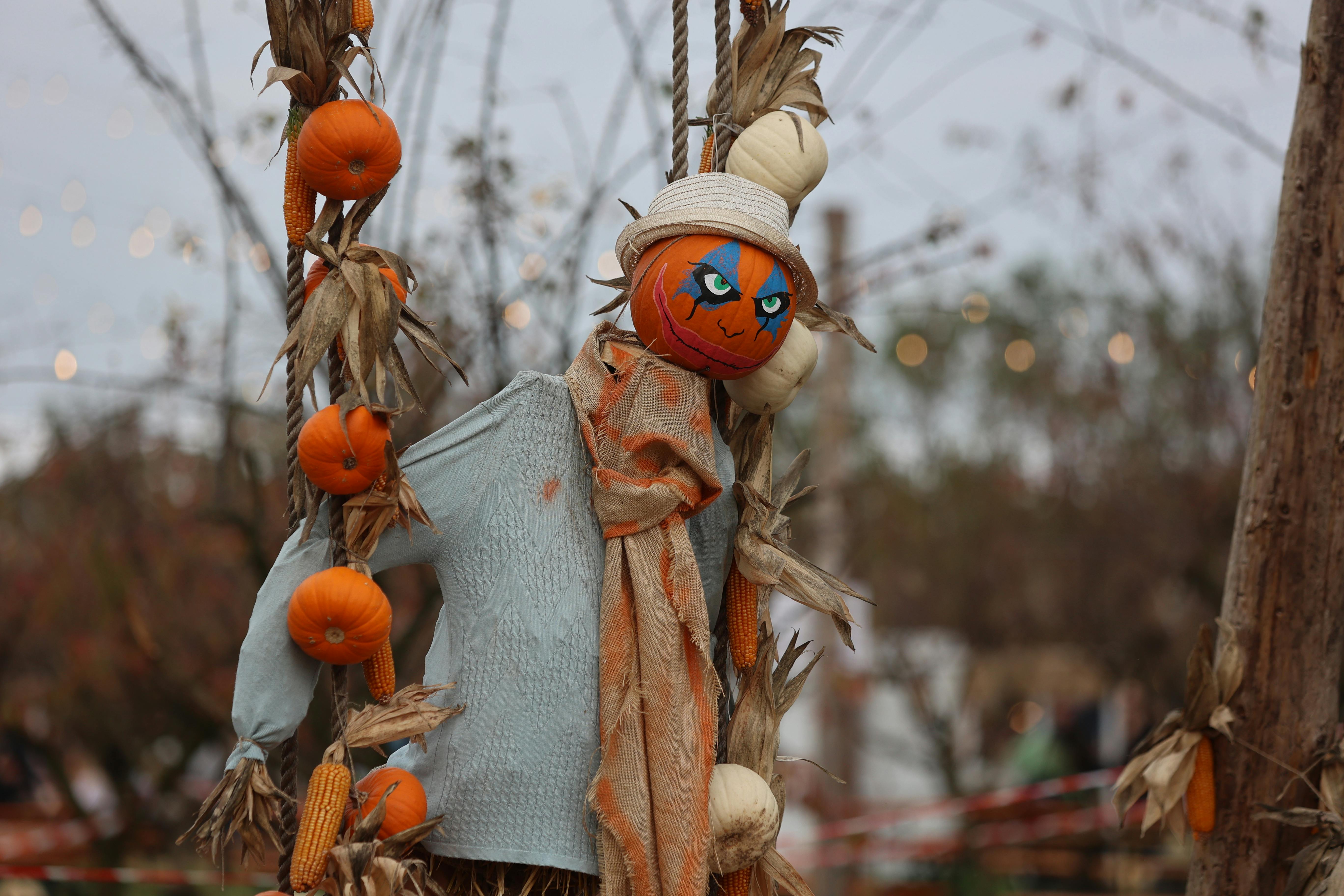 Halloween Themed Scarecrow with Pumpkins · Free Stock Photo