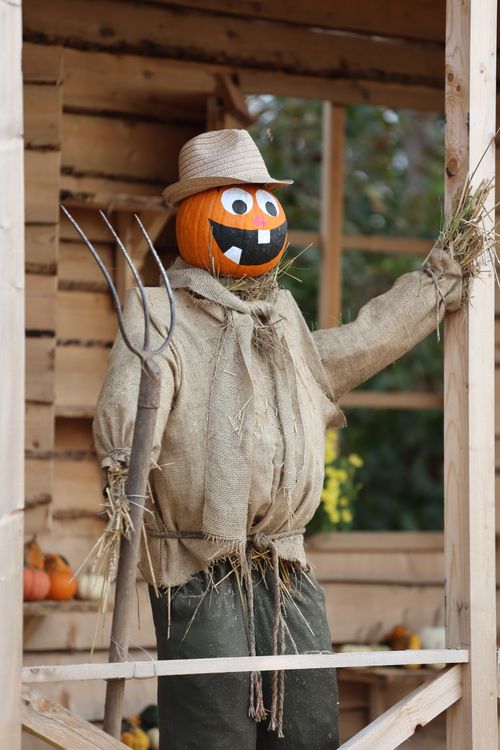 Free A cheerful scarecrow with a pumpkin head and straw hat, perfect for Halloween decoration. Stock Photo