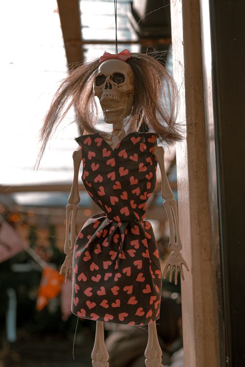 Free A whimsical Halloween skeleton in a heart-patterned dress, perfectly themed for autumn festivities. Stock Photo