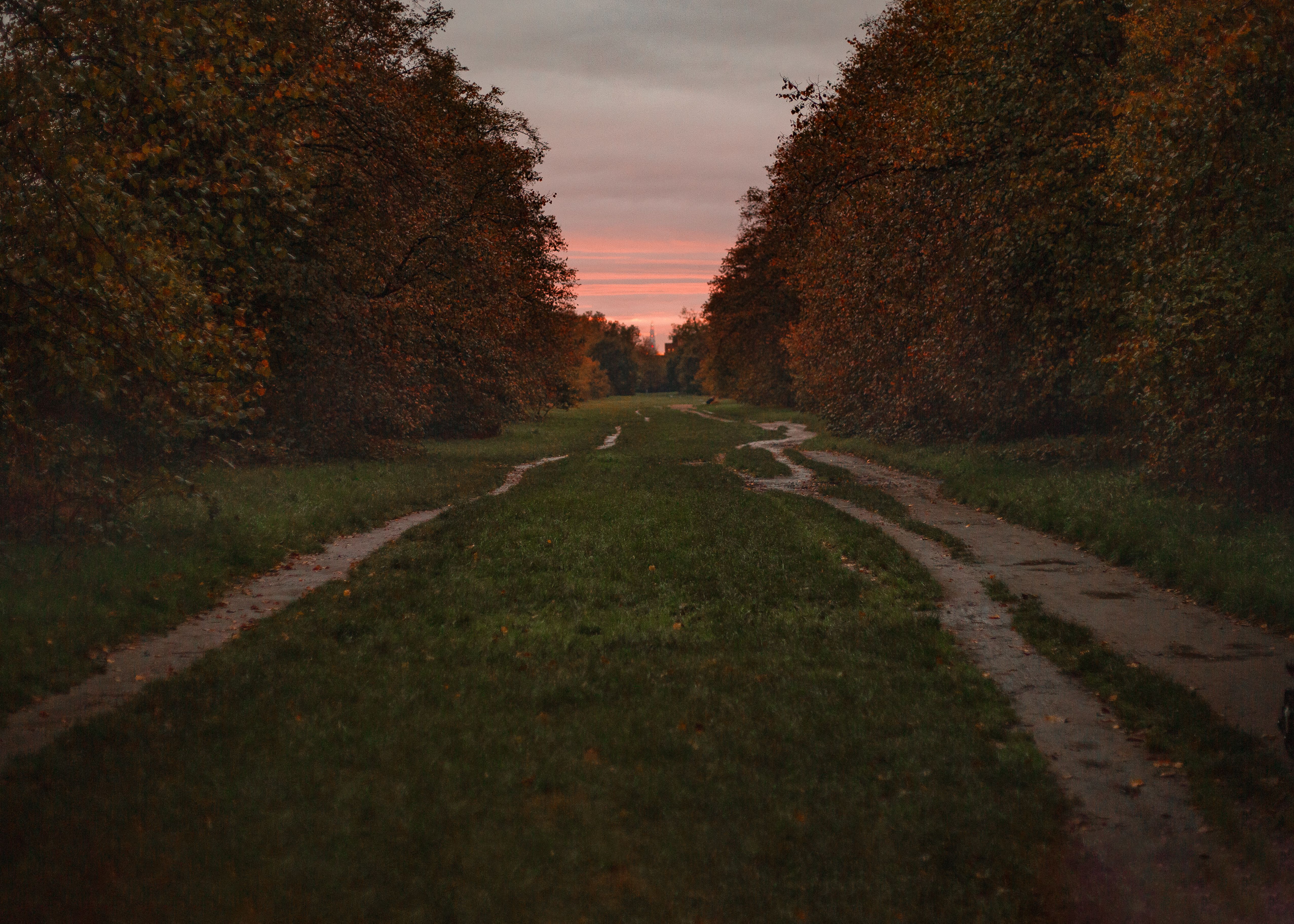 Autumn Pathway at Sunset in England · Free Stock Photo