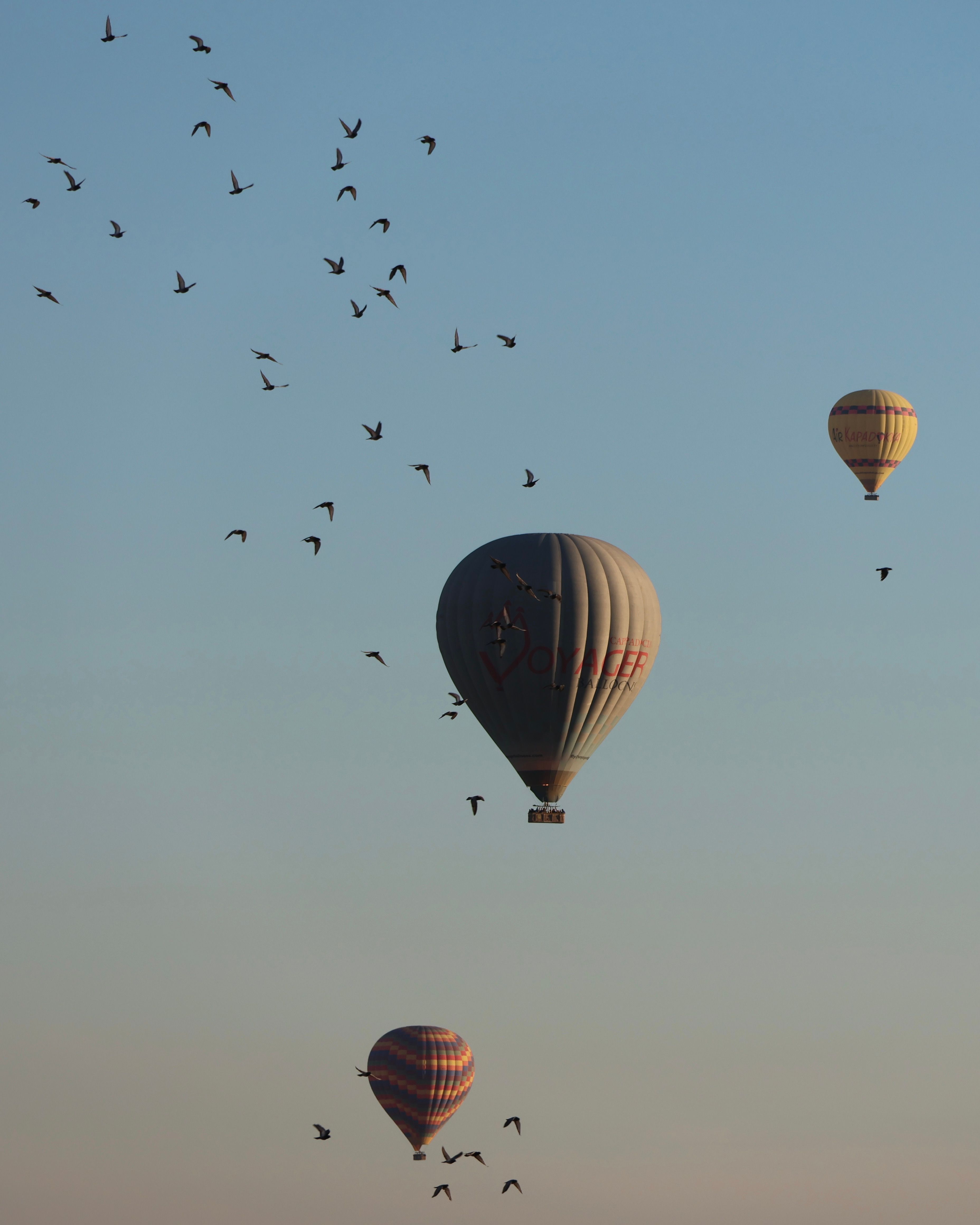 Paseo en Globo Aerostatico en Marrakech