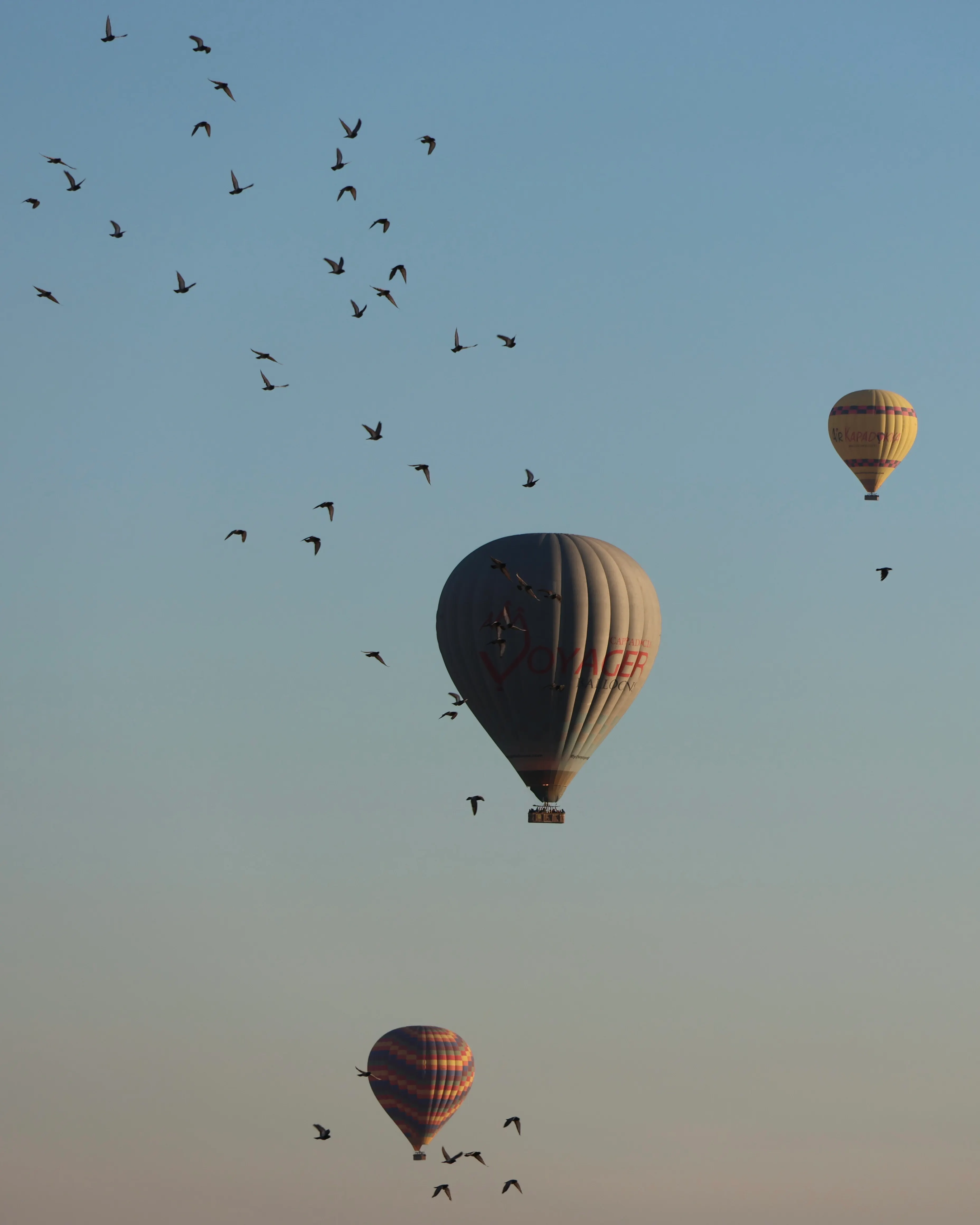 Hot Air Balloon Ride in Marrakech