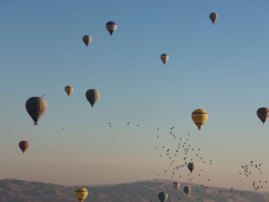 The Un Climategate And The Viral Webs Hot Air The Un Climategate And The Viral Webs Hot Air