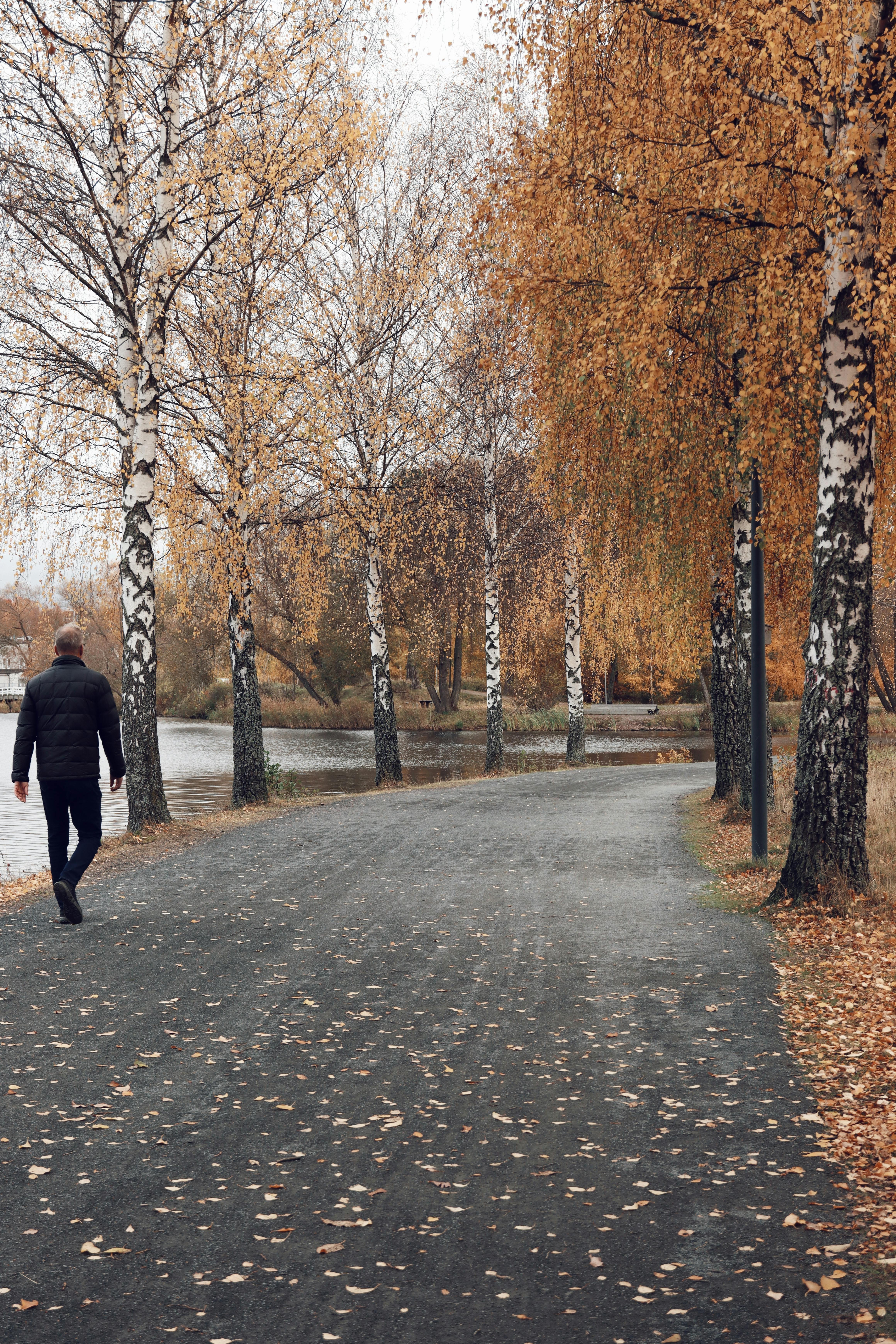 autumn walk in jonkoping sweden