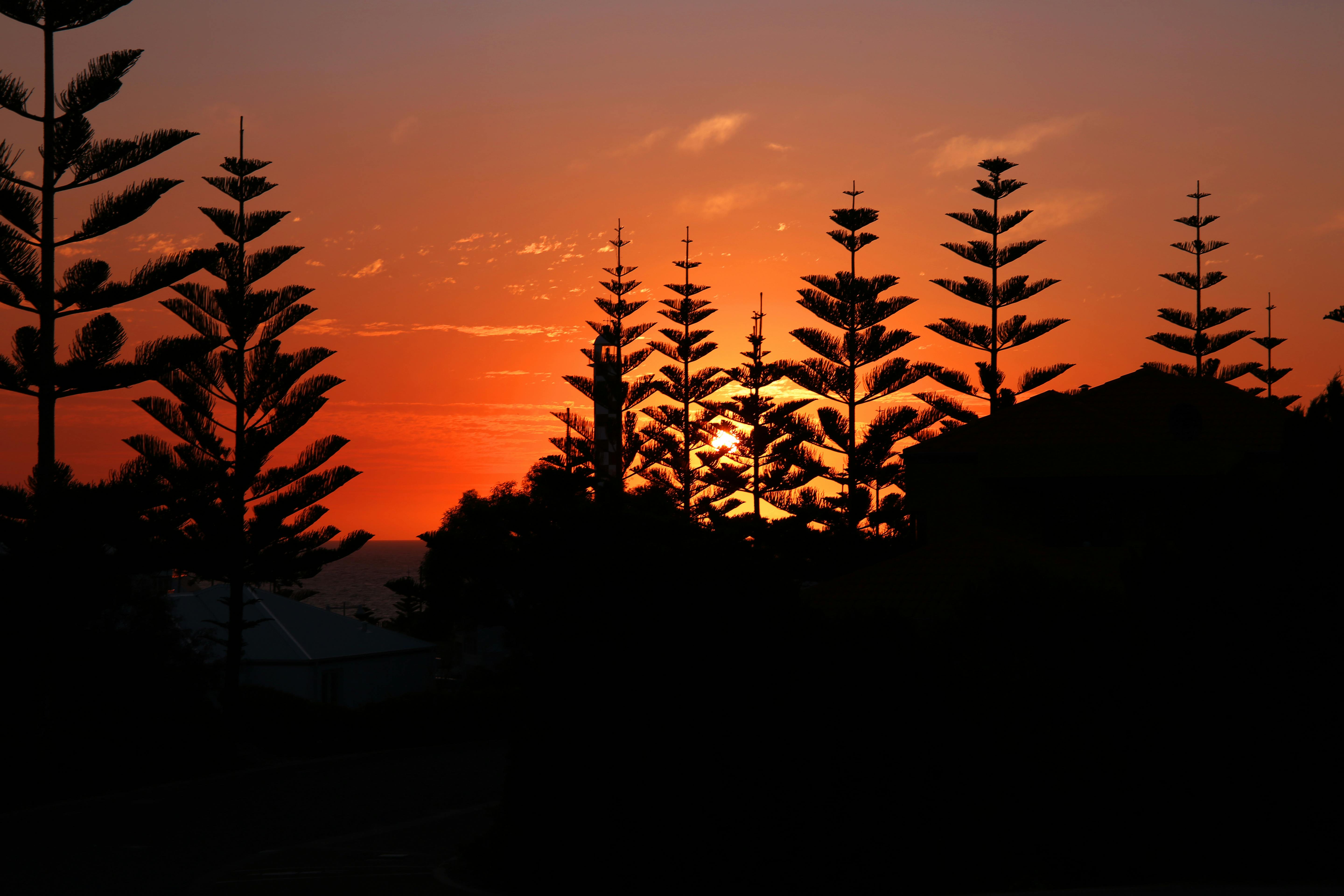 Support Charity and Win a Home in Bunbury: Your Complete Guide to Prize Home Draws in WA's South West