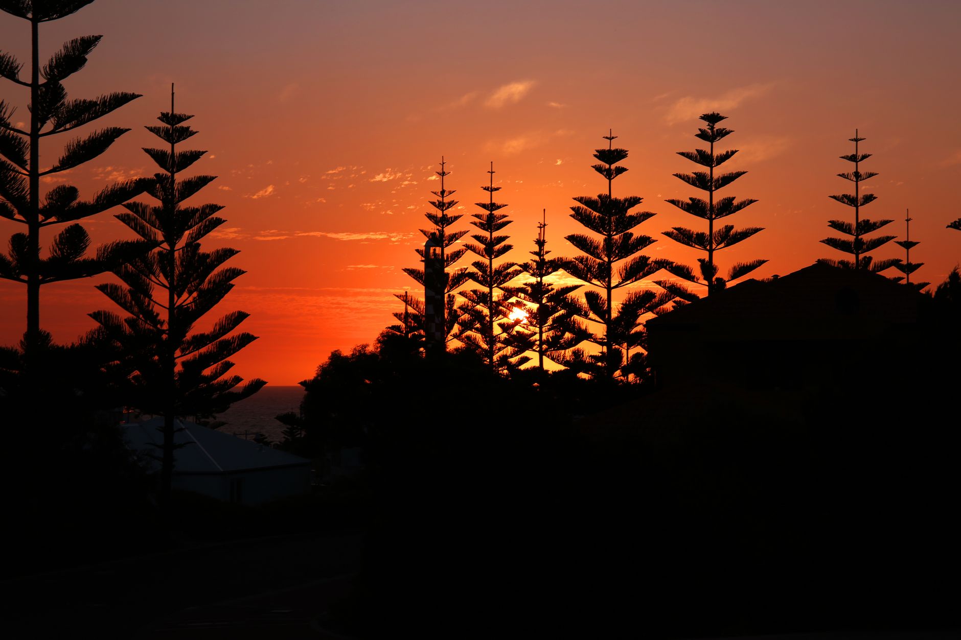 Silhouette of trees against a vibrant sunset in Bunbury, Western Australia.. Photo by dp singh Bhullar on Pexels