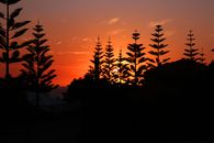 Silhouette of trees against a vibrant sunset in Bunbury, Western Australia.