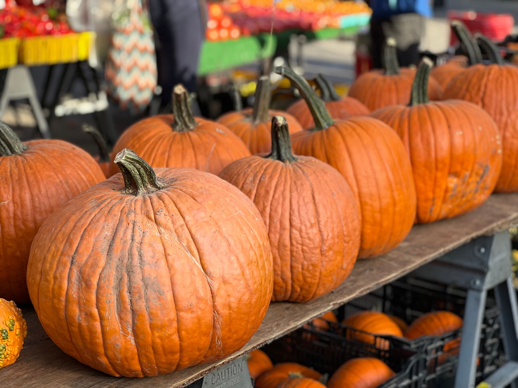 Bountiful Farmers Market: Fresh Finds & Fun! photo