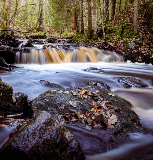 Free Tranquil waterfall flowing through a lush autumn forest with vibrant foliage and smooth rocks. Stock Photo