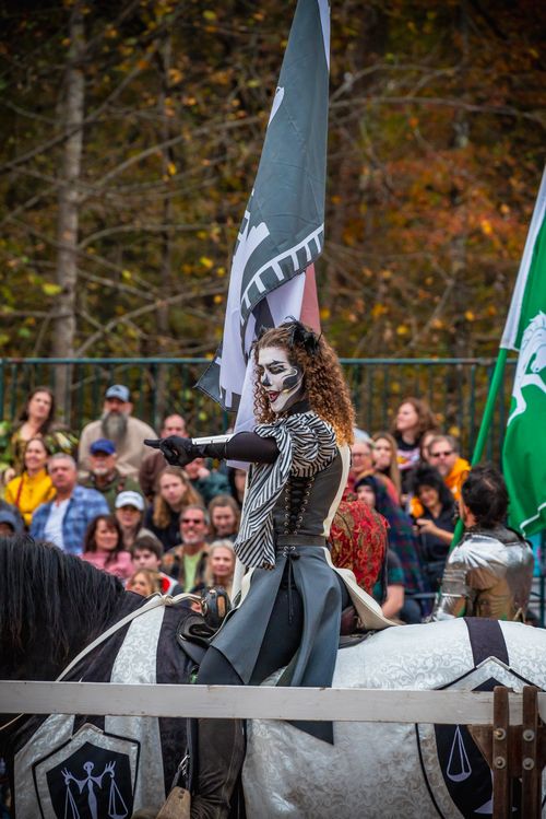 Free A horseback rider in medieval attire and face paint participates in a lively festival event. Stock Photo