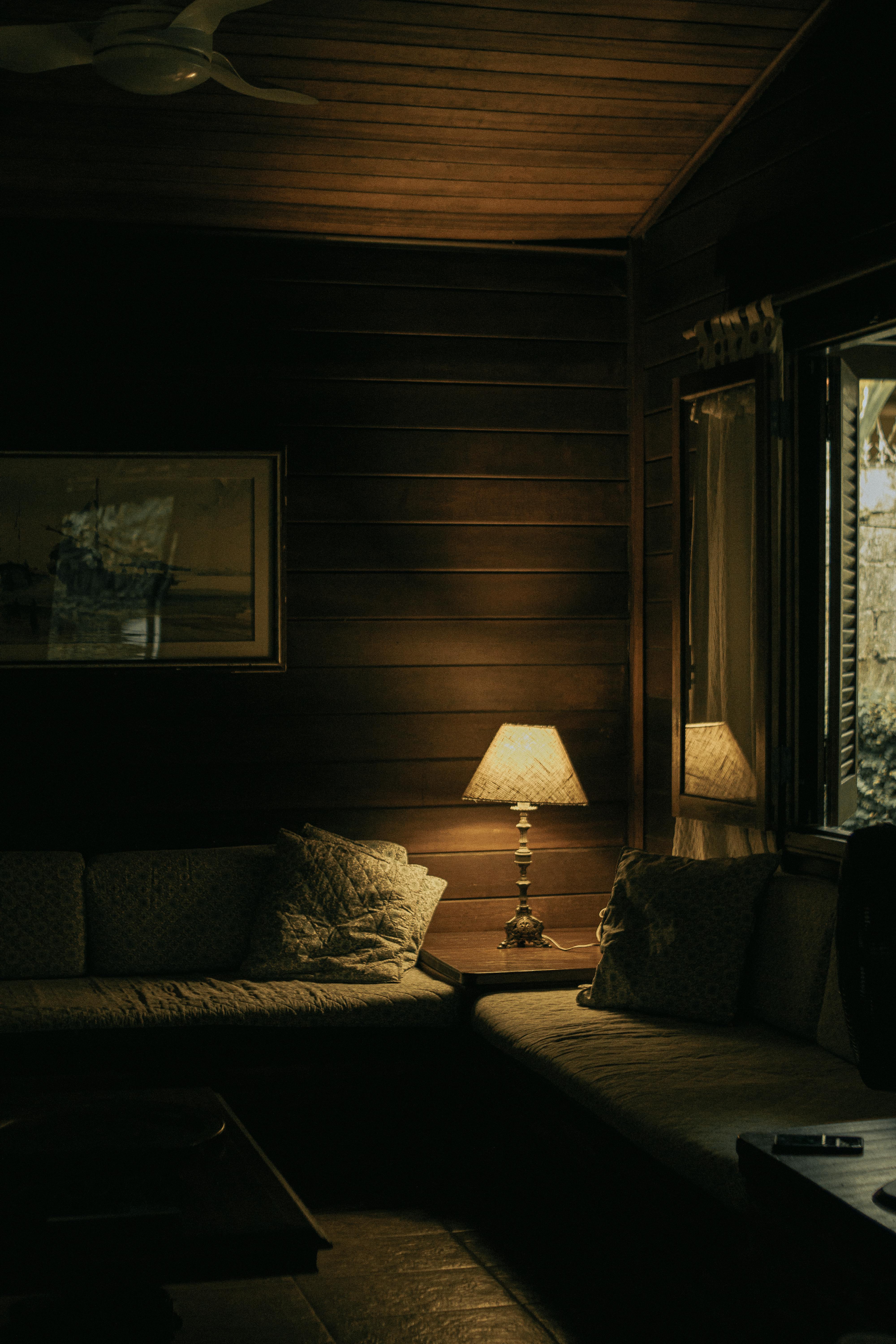 Warm rustic cabin living room