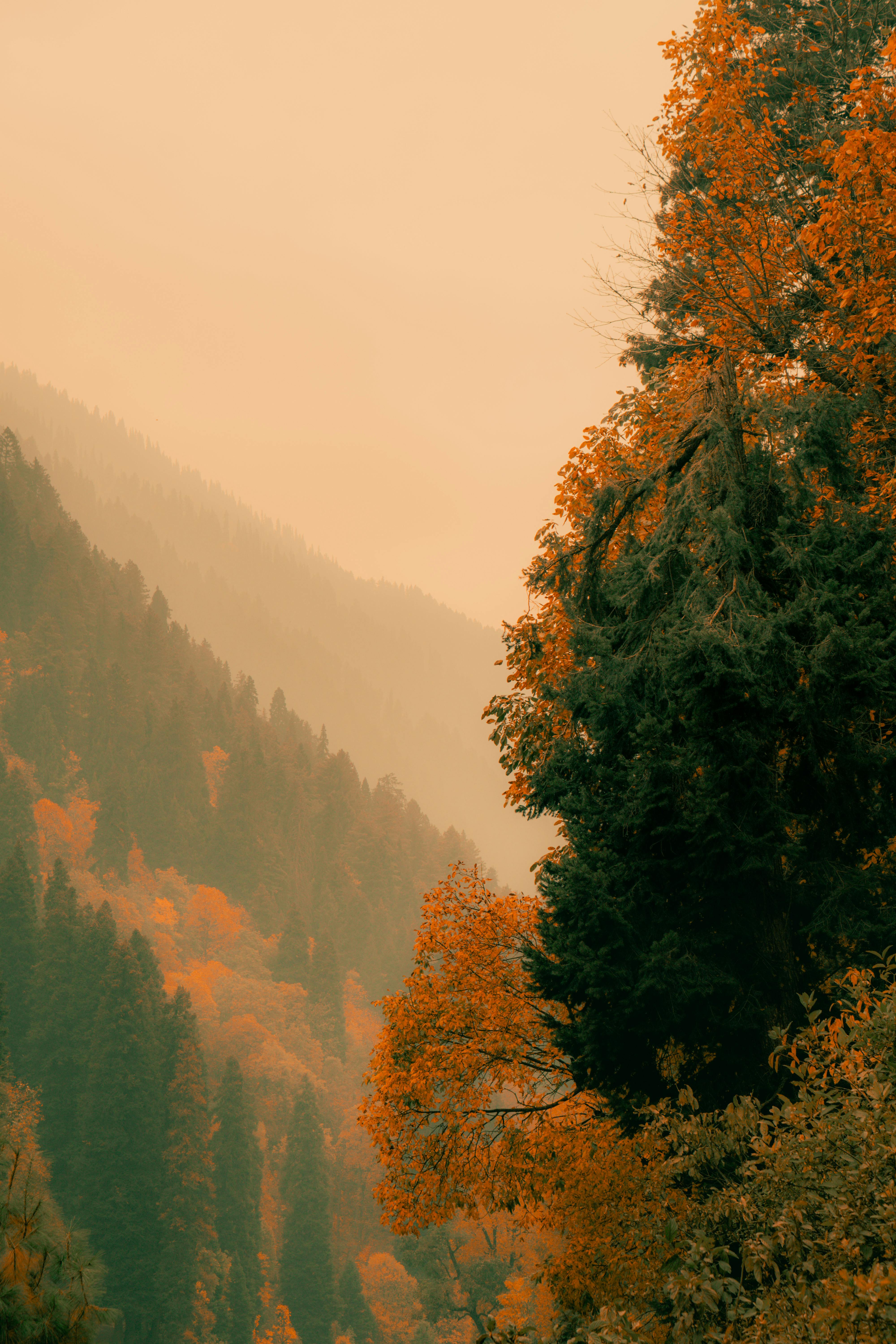 serene autumn landscape in kangan