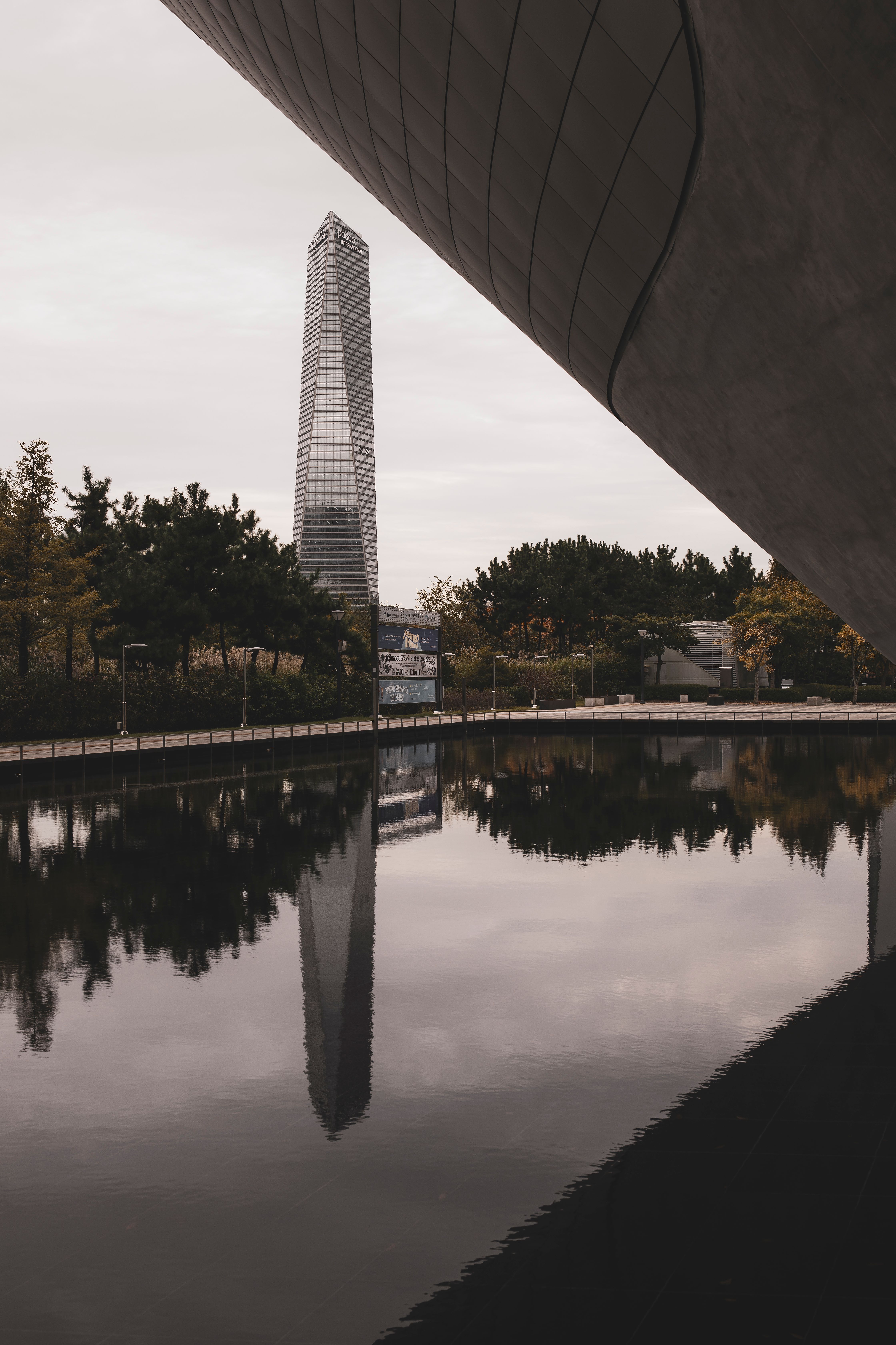 Modern Skyscraper Reflection in Urban Park · Free Stock Photo