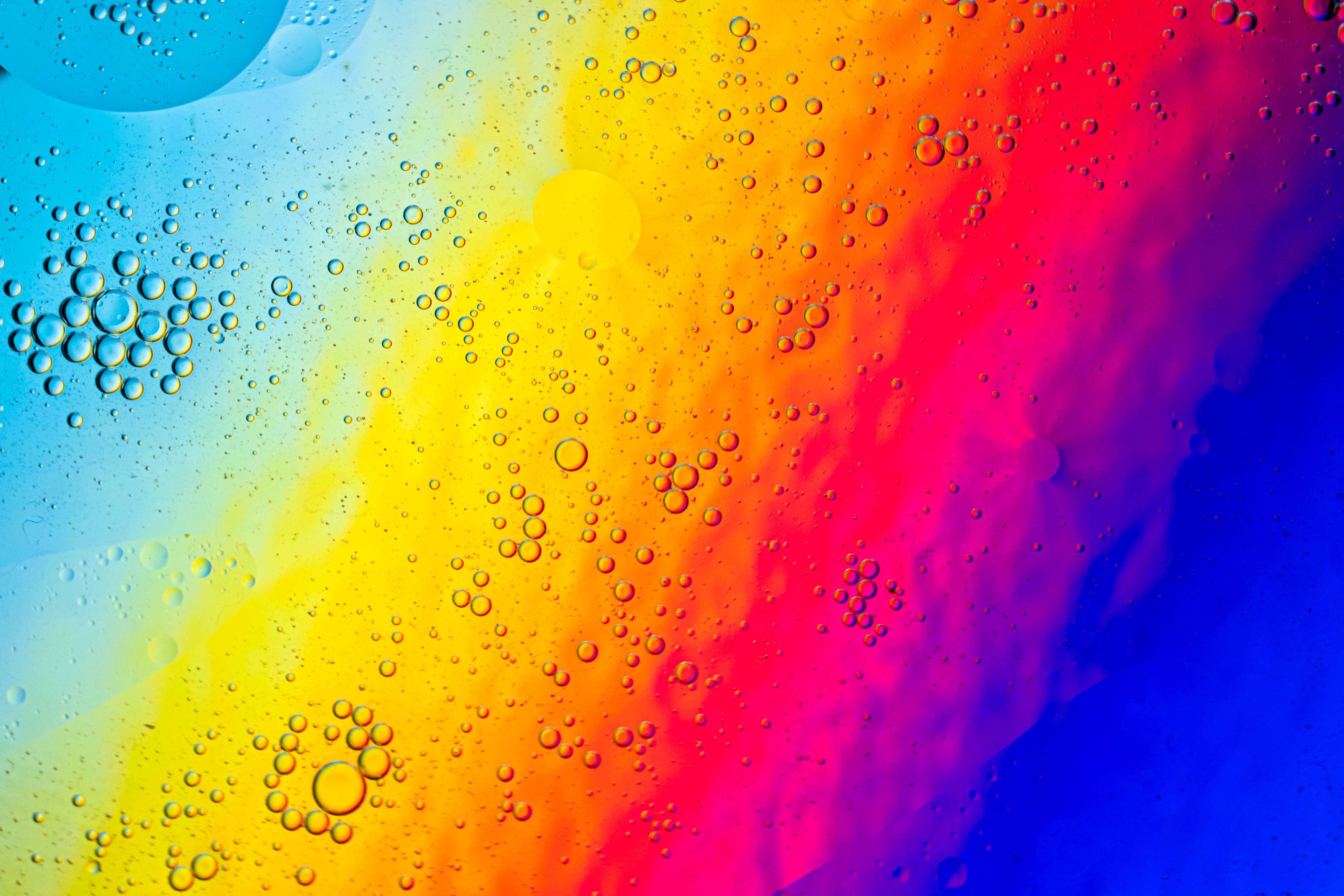 Colorful Oil and Water Abstract with Bubbles · Free Stock Photo