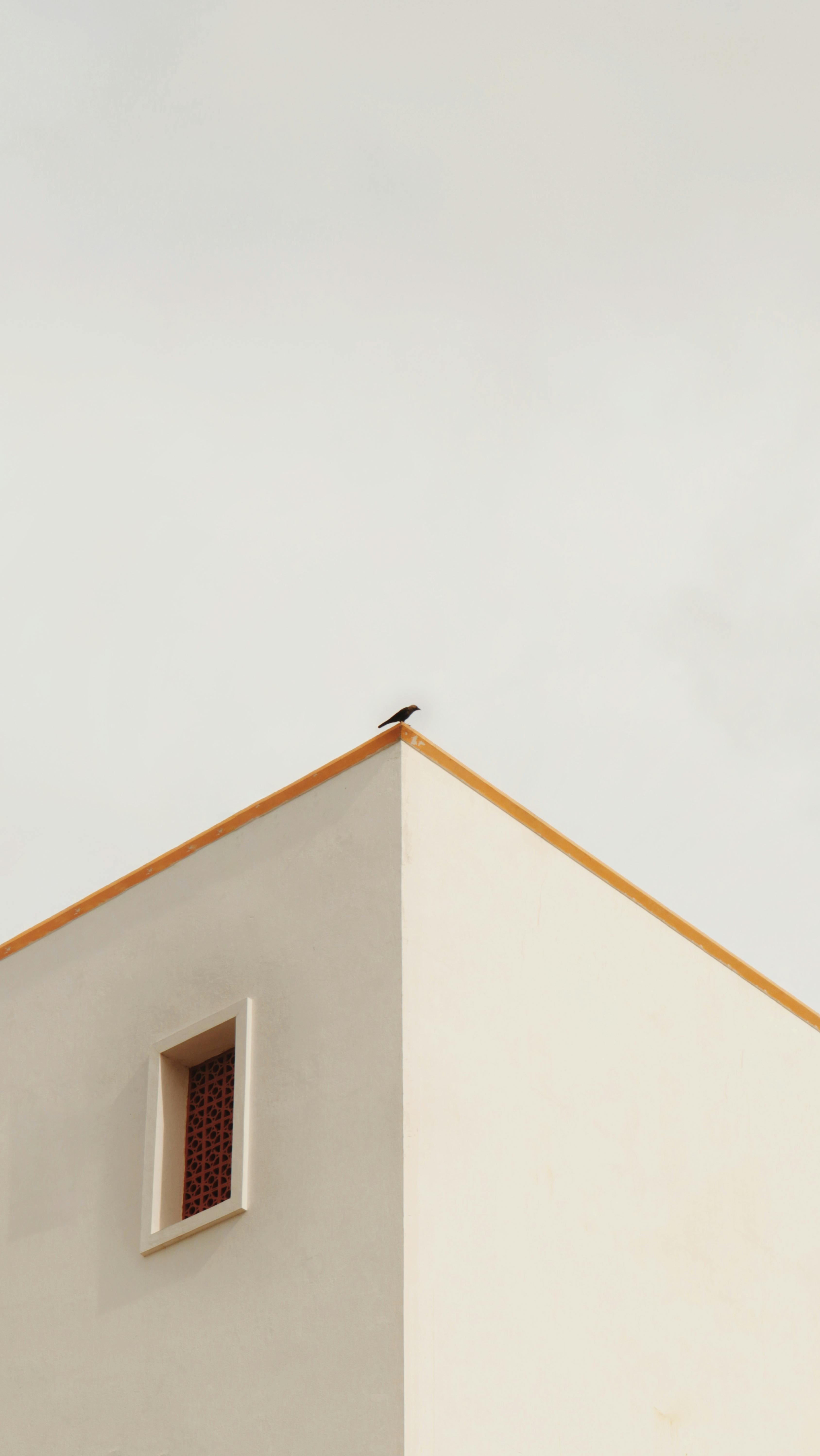 Kostnadsfria Minimalistisk bild av ett byggnadshörn med en enda fågel uppflugen, som visar upp modern arkitektur. Stock foto