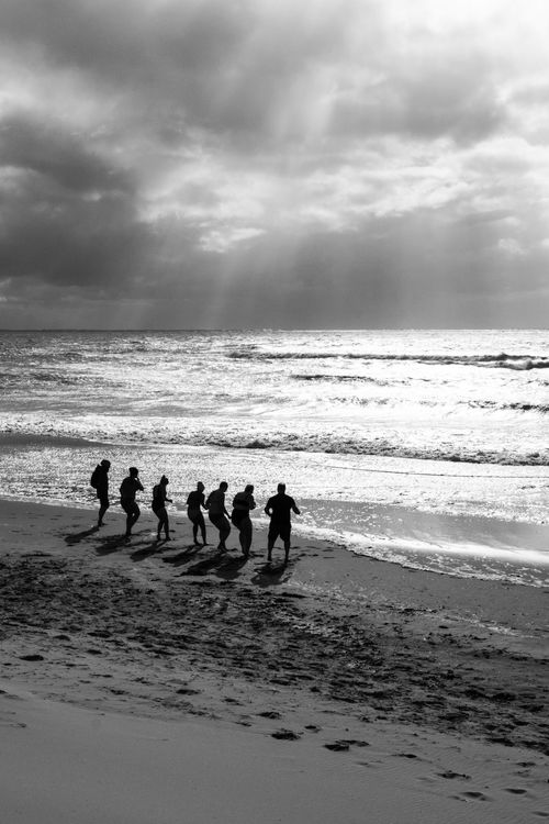 Free Silhouette of athletes running on Borkum beach. Black and white, dynamic and captivating. Stock Photo