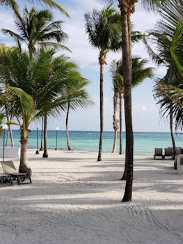 Relaxing tropical beach in Cancún with palm trees and sun loungers on the sandy shore.