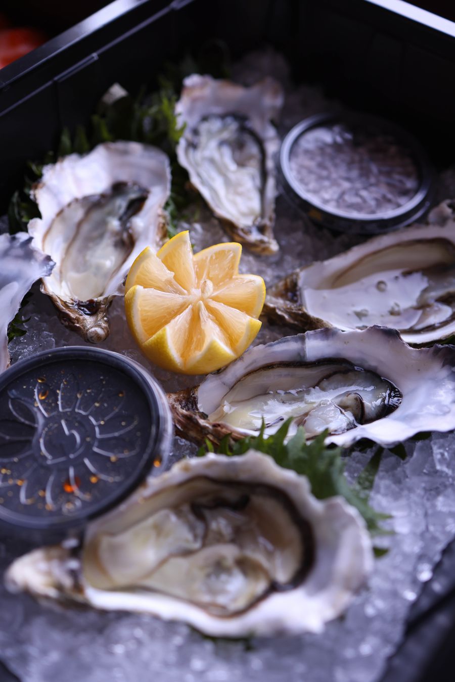 Oysters on crushed ice, dark styling
