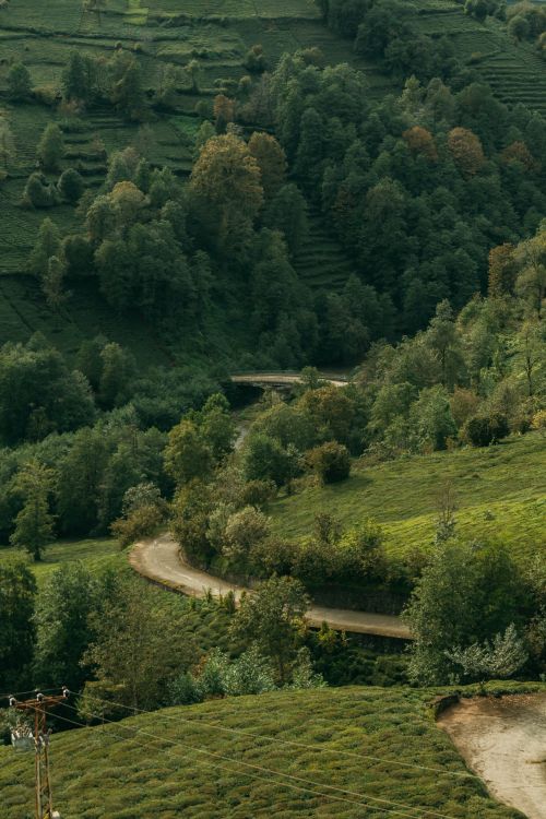 Free Captivating landscape with a winding trail weaving through a lush, verdant forest in a serene countryside. Stock Photo