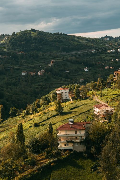 Free Scenic view of hillside homes surrounded by lush greenery under a cloudy sky. Stock Photo