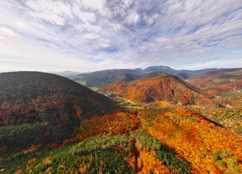 Breathtaking aerial view of a forest with vibrant autumn colors under a vast sky.