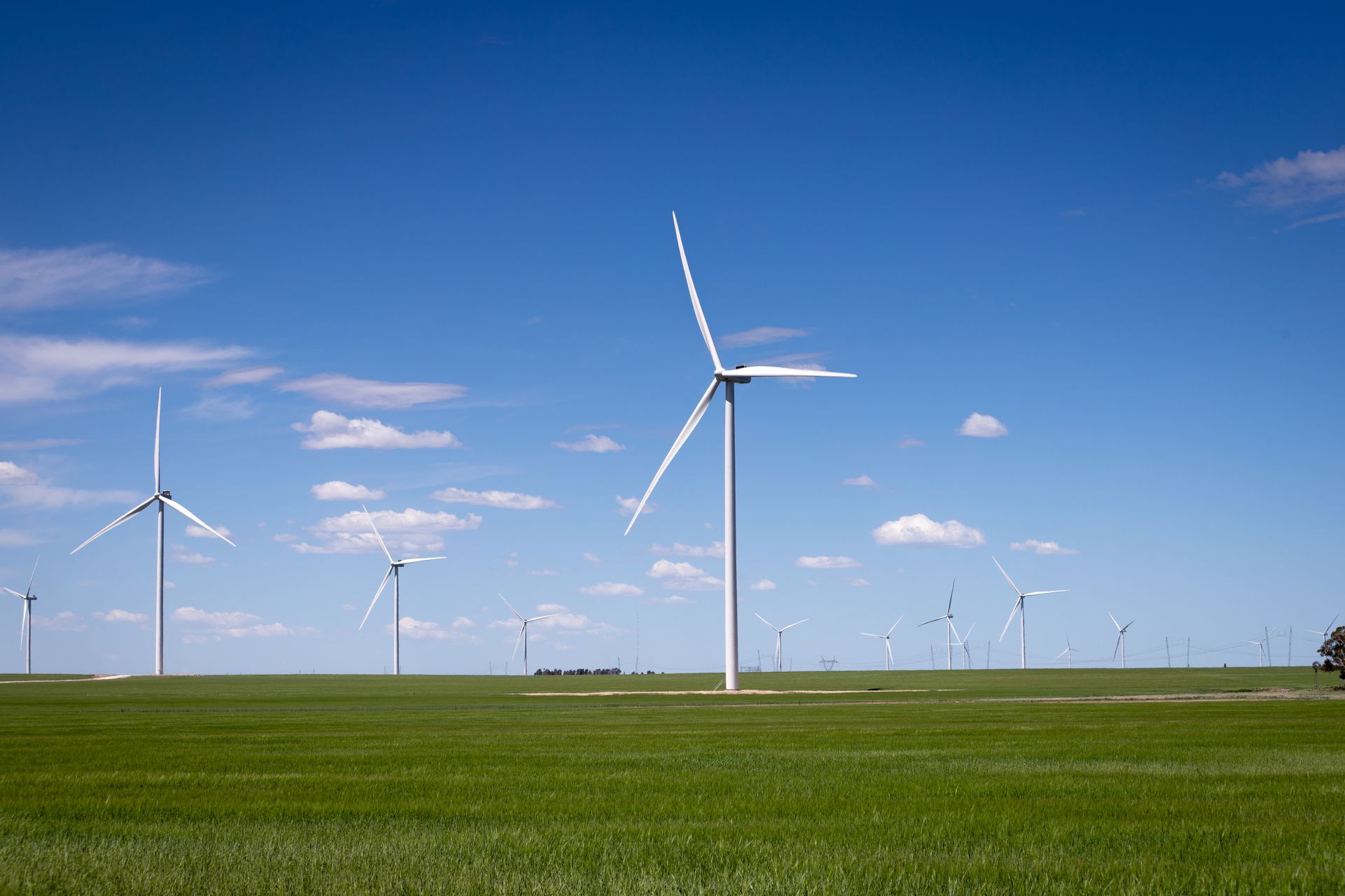 Wind turbines standing in a lush green field against a bright blue sky, symbolizing renewable energy.