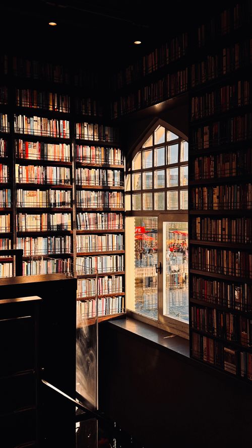 Free Warm sunlight illuminates a library's tall bookshelves filled with books beside a large window. Stock Photo