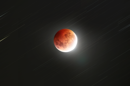 Free Captivating blood moon lunar eclipse captured with streaking stars in New Zealand's night sky. Stock Photo