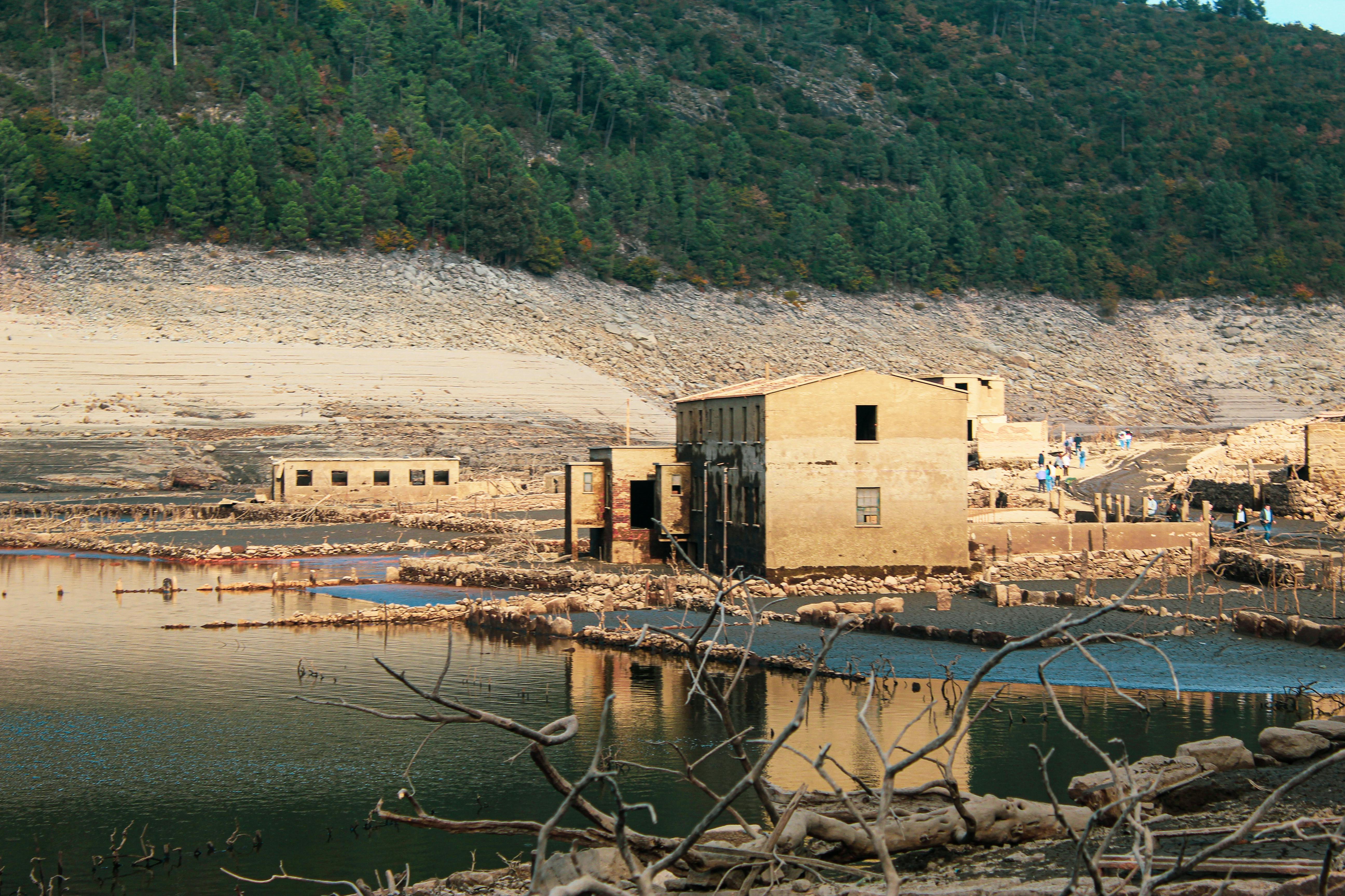 climate resilience drought mitigation — Photo by Liane Ferreira on Pexels