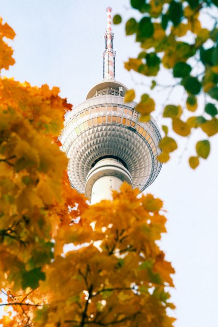 Capture of the iconic Berlin TV Tower framed by vibrant autumn leaves in Berlin, Germany.