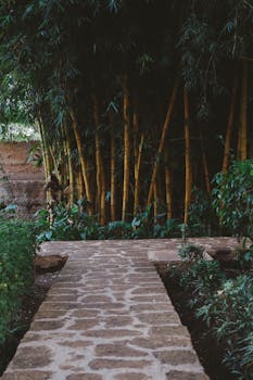Tranquil stone pathway amid tall bamboo in Rabat, Morocco. Perfect for nature lovers.
