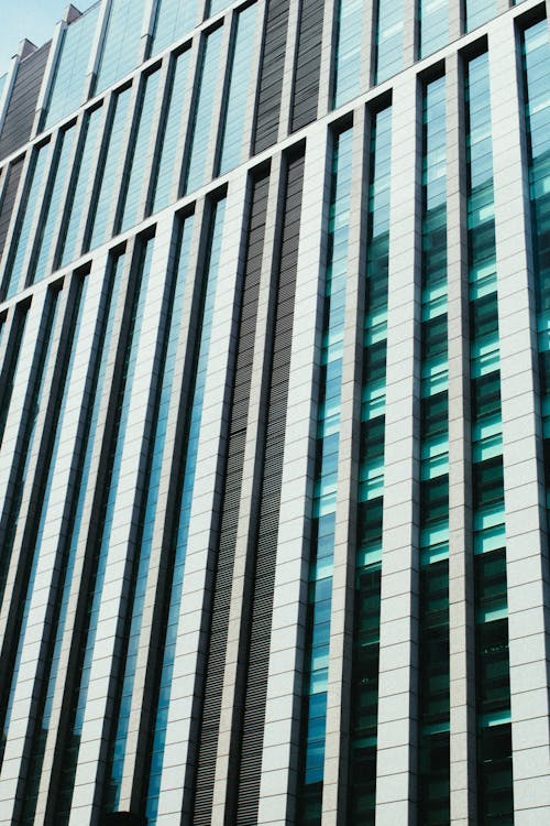 무료 고층 빌딩의 로우 앵글 사진 스톡 사진