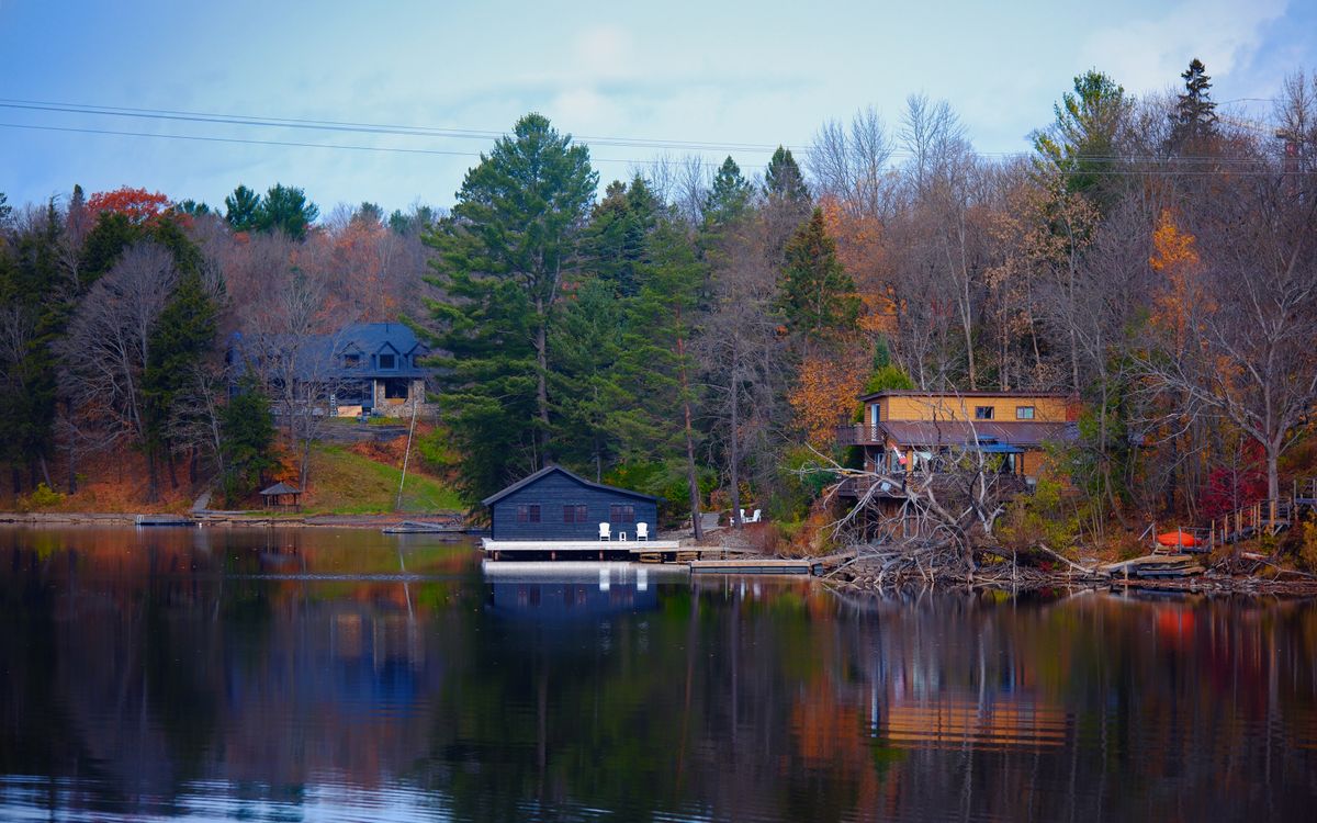 Autumn scenery beside a lake in Ontario