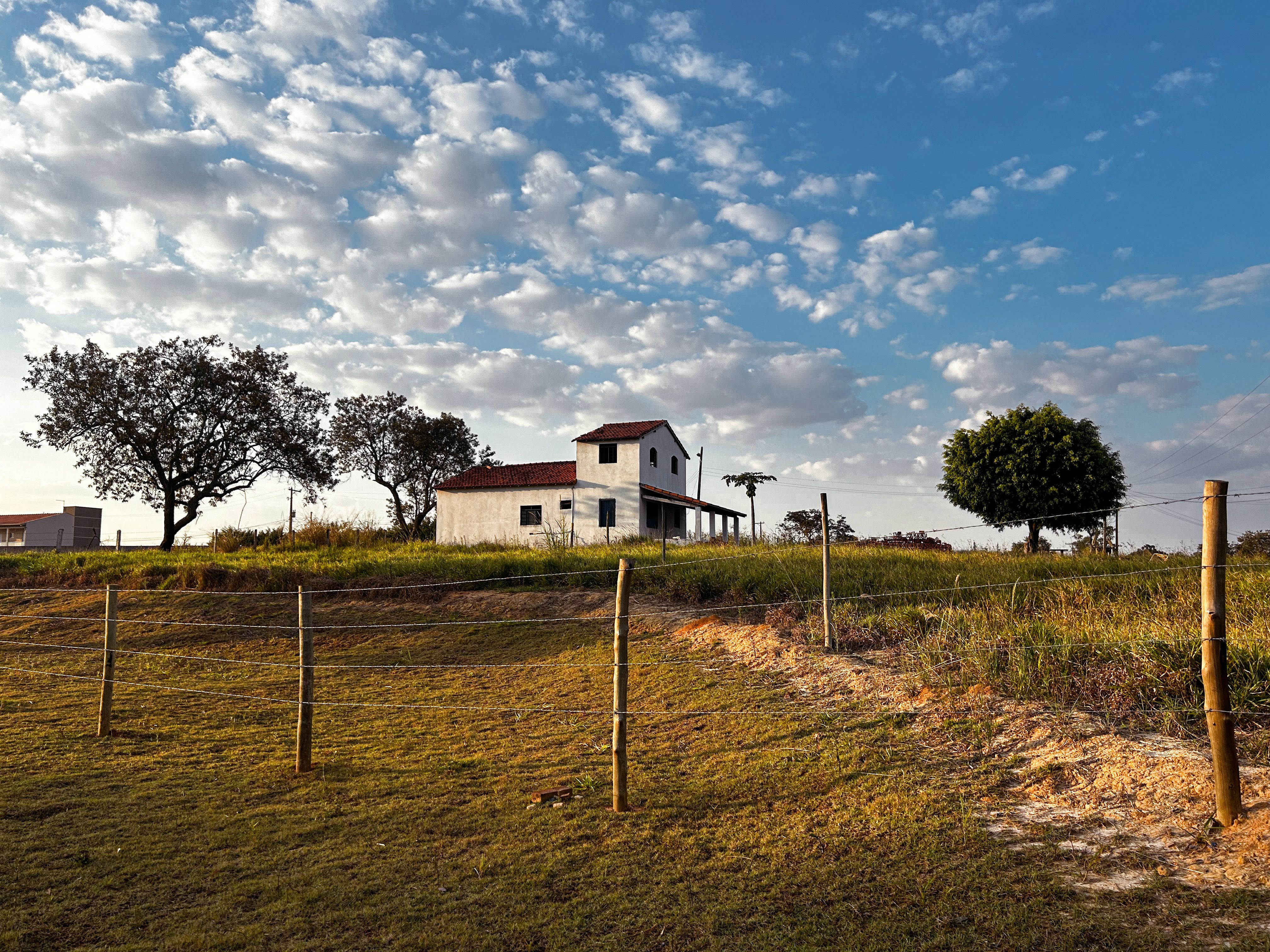 A rural property with many tethered roosters, hidden sheds, and suspicious nighttime activity