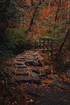 A serene autumn scene of a stone staircase through a forest, showcasing vibrant fall colors.