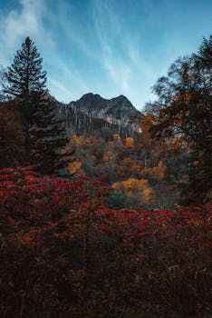 A breathtaking autumn mountain landscape with vibrant foliage under a clear blue sky.
